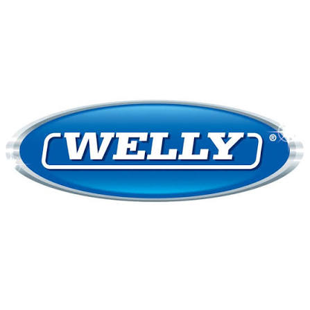 Welly logo