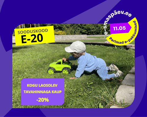 E-smaspäev 11. mai