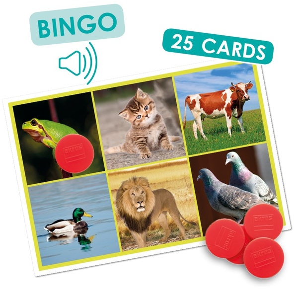 Bingo: loomad ja loodus image 2