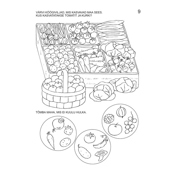 Lasteaia loodusõpetus image 2