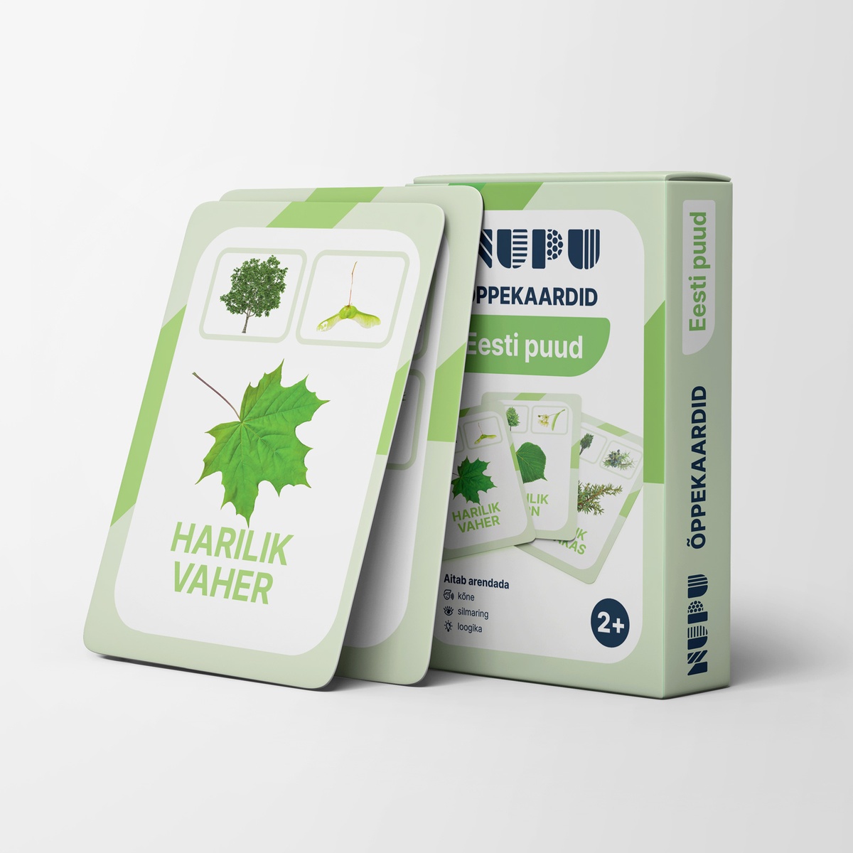 Õppekaardid - Eesti puud