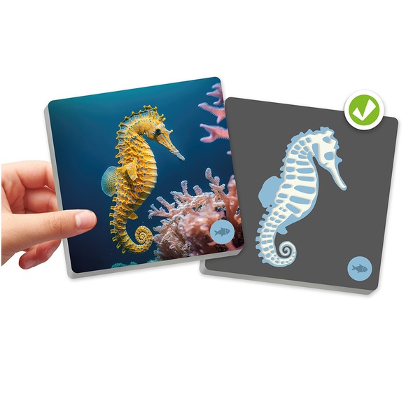 Maxi memory "Selgroogsed ja nende skeletid" image 3