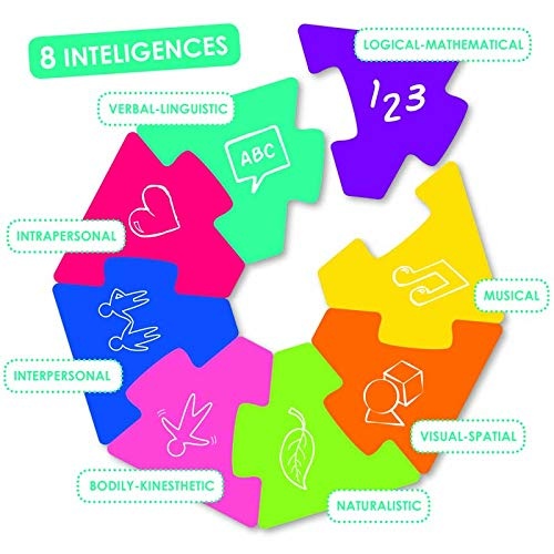 Multiinteligentsus image 2