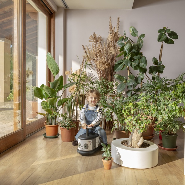 Pealeistutav auto La Cosa Panda image 7