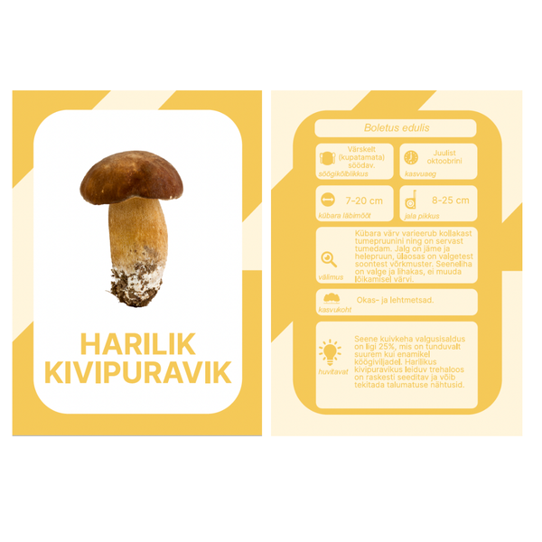Õppekaardid - Eesti seened  image 3