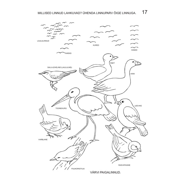 Lasteaia loodusõpetus image 3