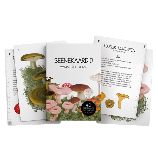 Seenekaardid