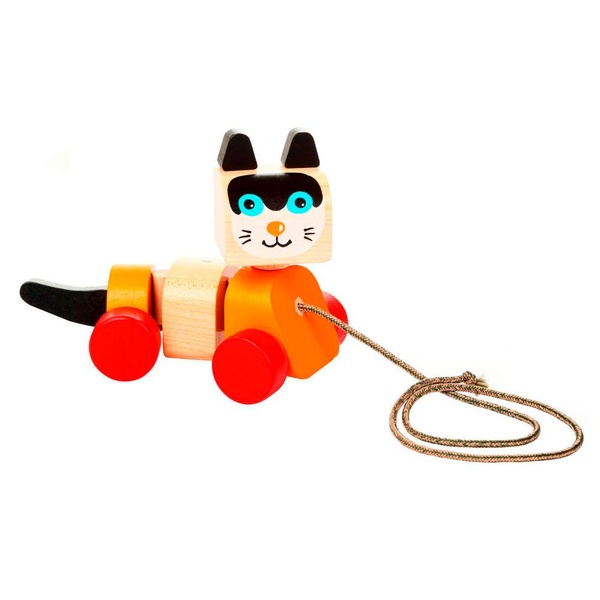 Ratastega kass