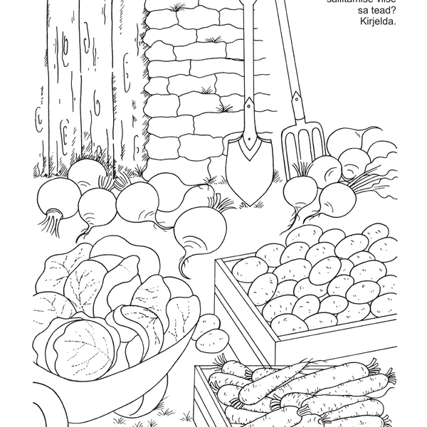 Aiaraamat image 4