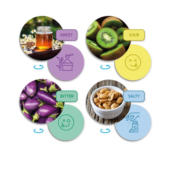 Õppemäng "Maitsete maailm" image 3