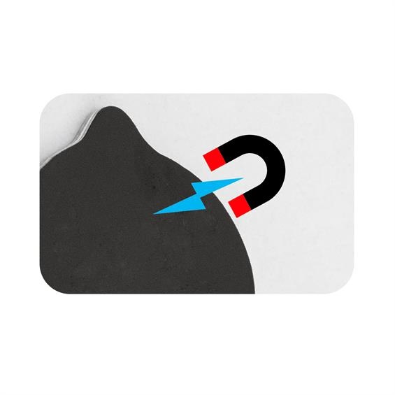 Viga Toys puidust magnetloomad 20 tk image 3