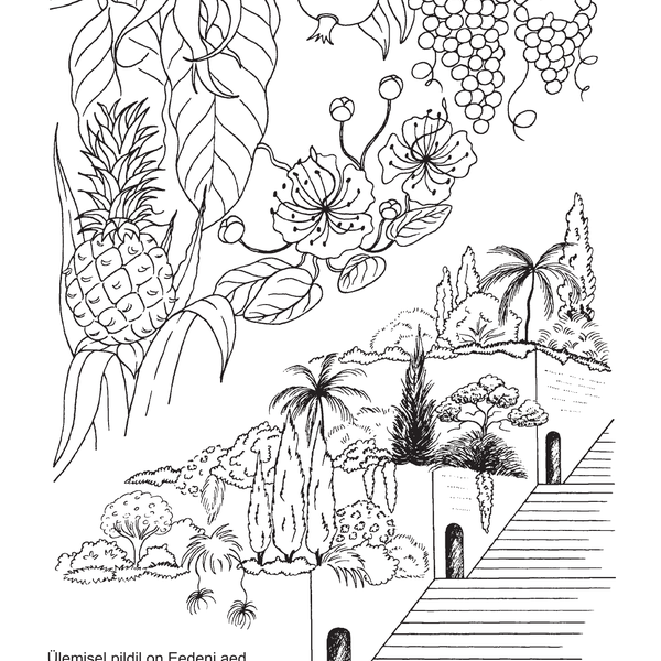 Aiaraamat image 2