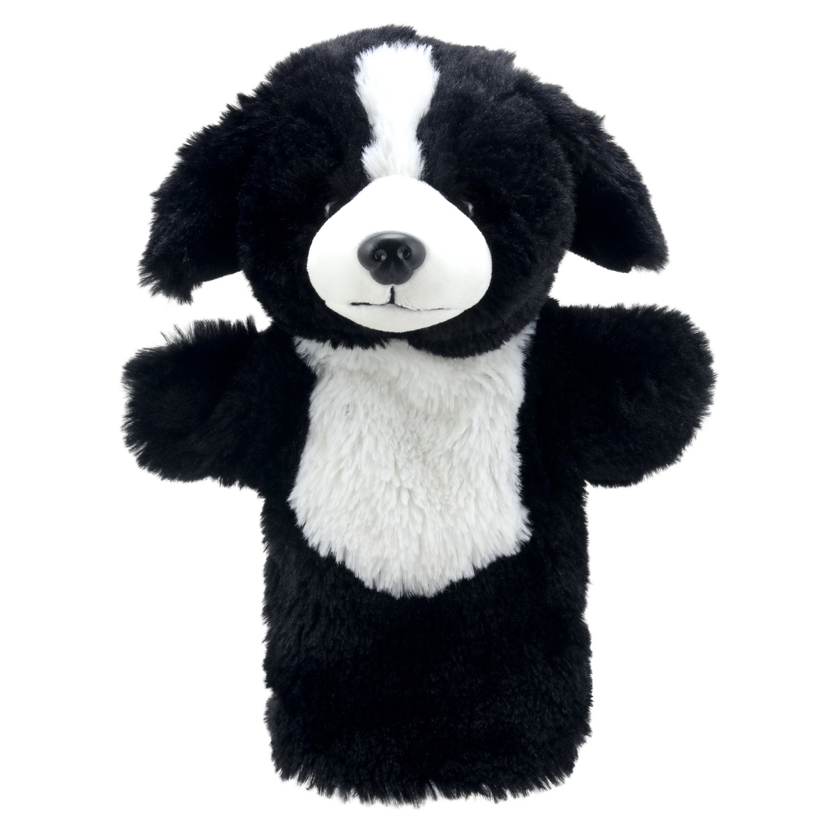 Käpikloom Koer Border Collie