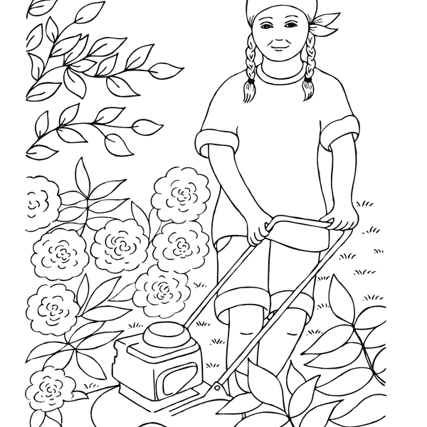 Ametid image 4