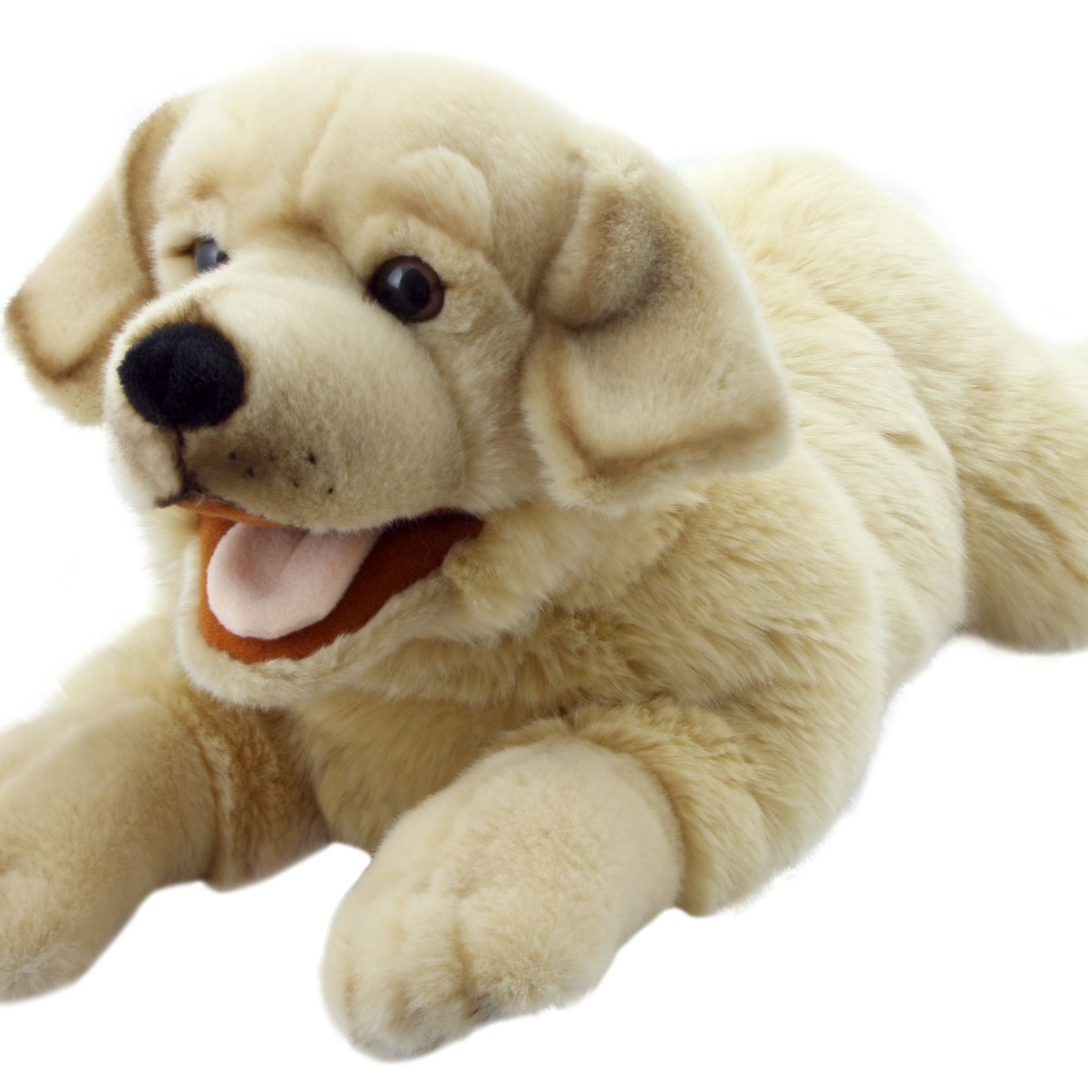 Suur käpikloom Koer Labrador