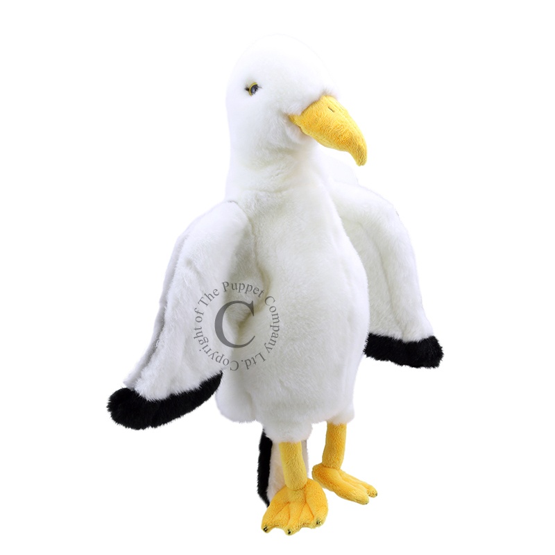 Käpikloom Kajakas