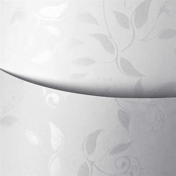 Disainpaber A4/100g 50L Liana White