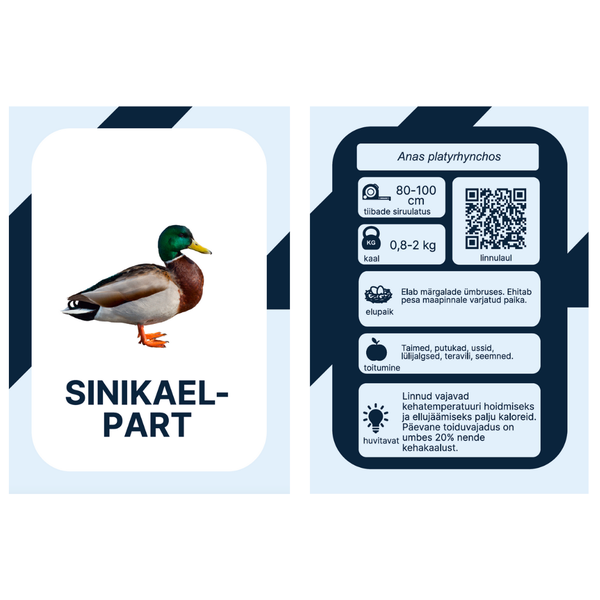 Õppekaardid - Eesti linnud  image 3