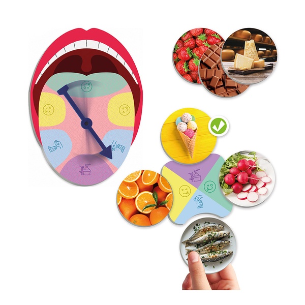 Õppemäng "Maitsete maailm" image 2