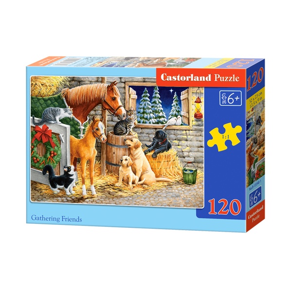 Pusle 120-osaline “Sõbrad koos“